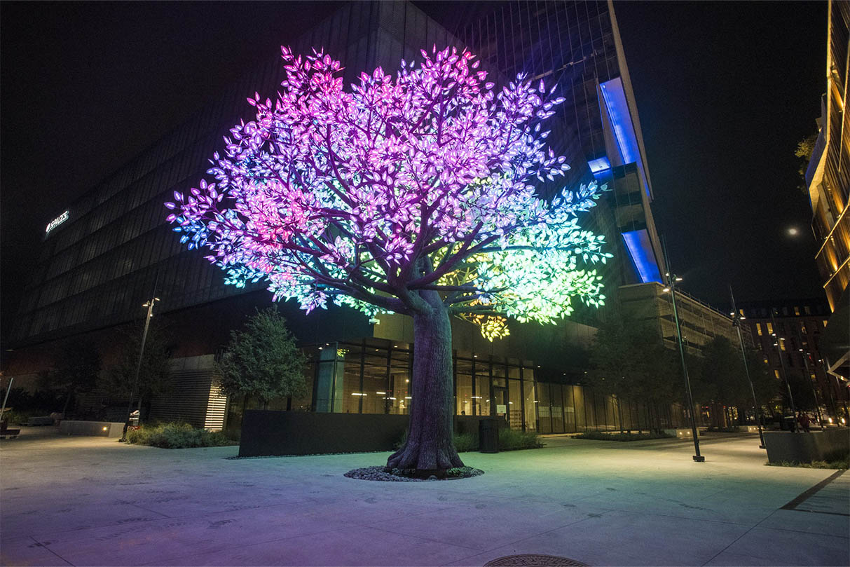 The Tree of Ténéré