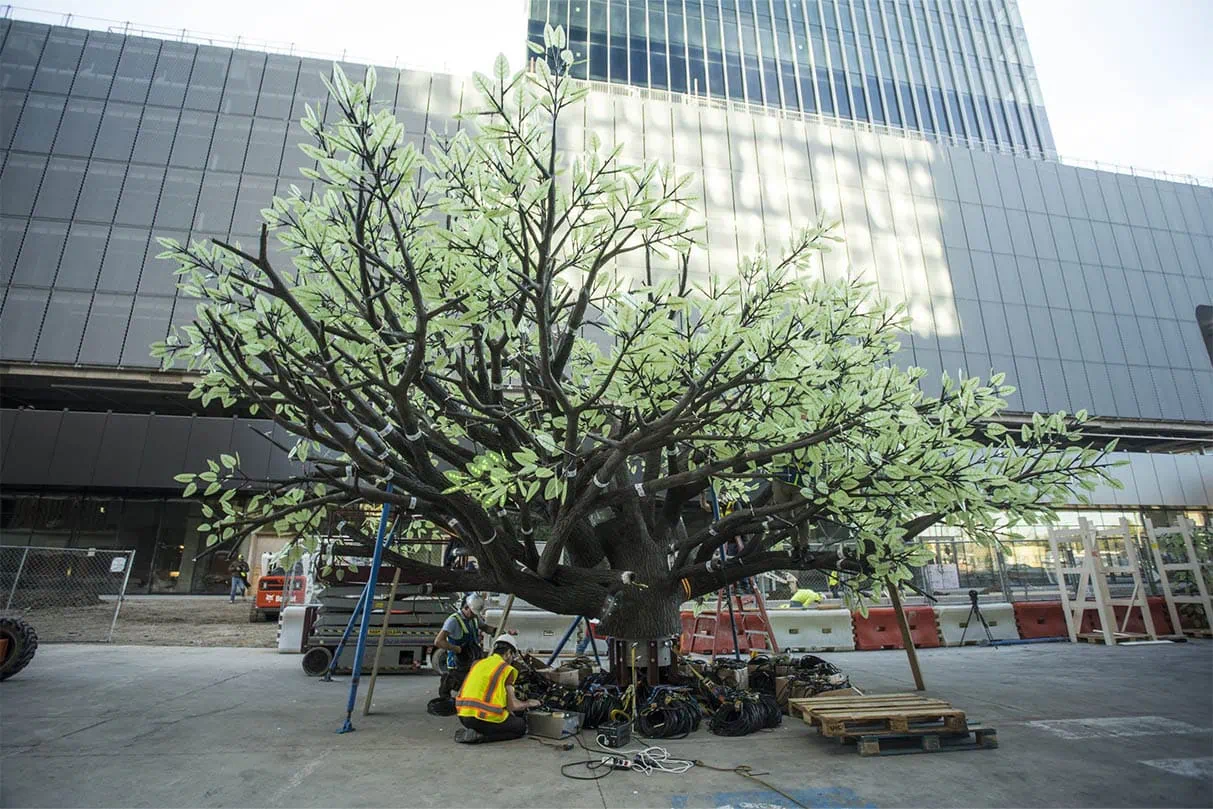 Tree removal with heavy rigging and machinery moving by MEI Industrial Solutions.