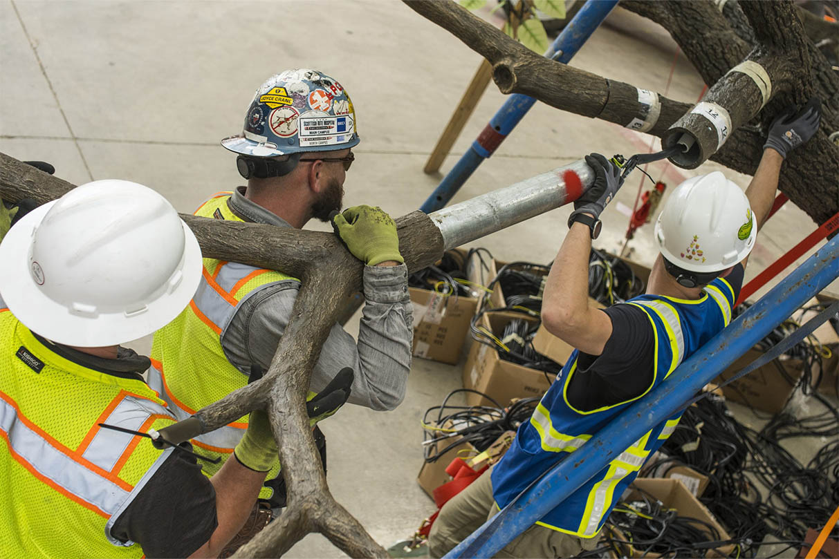 The-Tree-of-Tenere-rigging-and-transport