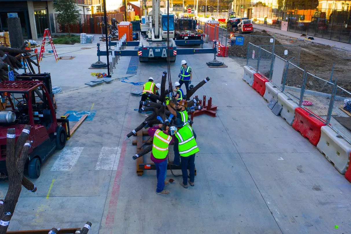 MEI Industrial Solutions rigging crew using a crane and forklift to install The Tree of Ténéré sculpture outdoors
